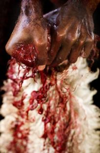 blood from Antaeus goat