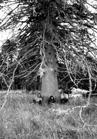 Wolves in the Throne Room band photo