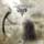 vesperian sorrow from georgetown texas