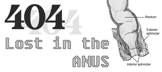 LOST IN THE ANUS!