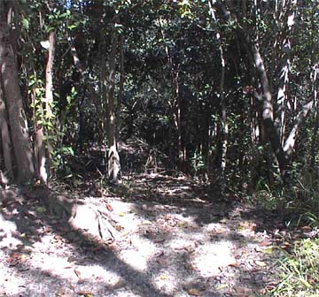 The path is long and hard, but about as easy as any other path, except that you have to plan some of it in advance.